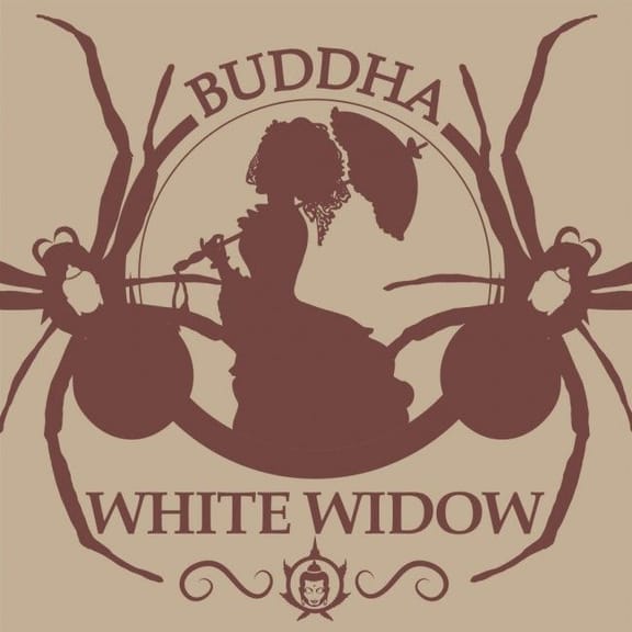 Buddha Classics White Widow Feminised Seeds-BS-BSBWWF
