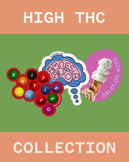 High-THC Collection Auto Feminiseret Frø-SMAN-COL-THC-AUTO