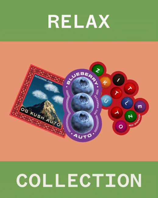 Relax Collection Auto Feminisiert Saatgut-SMAN-COL-REL-AUTO