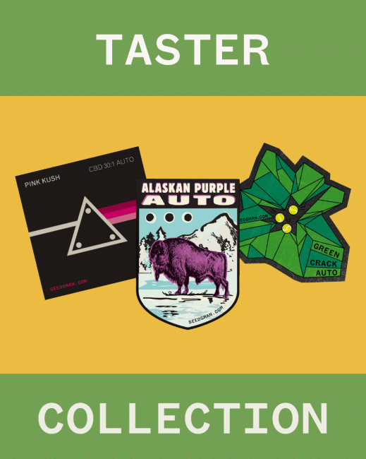 Taster Collection Auto Femminizzati Semi-SMAN-COL-TAS-AUTO