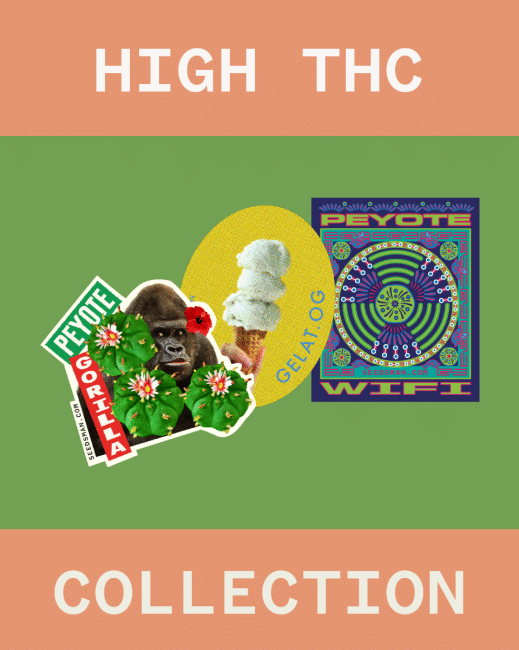 High THC Collection Feminised Seeds-SMAN-COL-THC-FEM