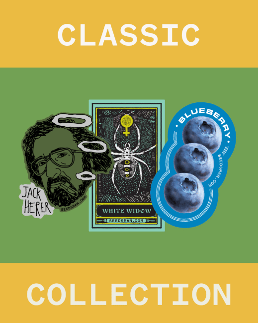 Classic Collection Feminised Seeds-SMAN-COL-CLA-FEM