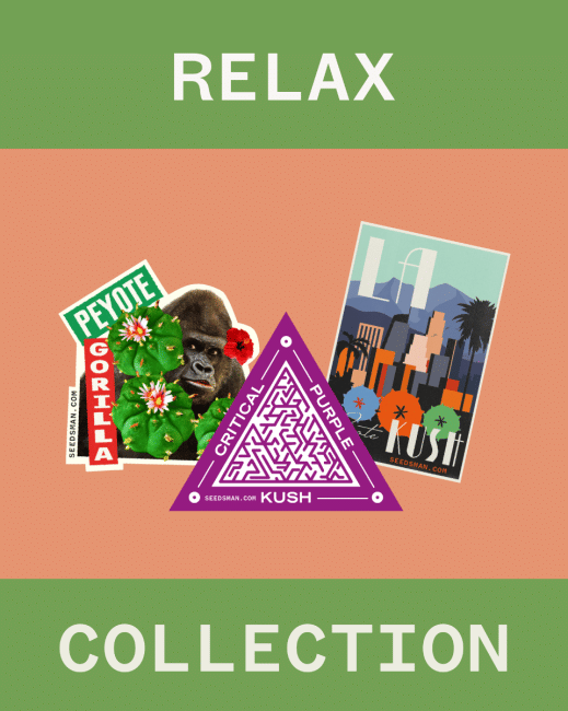 Relax Collection Feminised Seeds-SMAN-COL-REL-FEM
