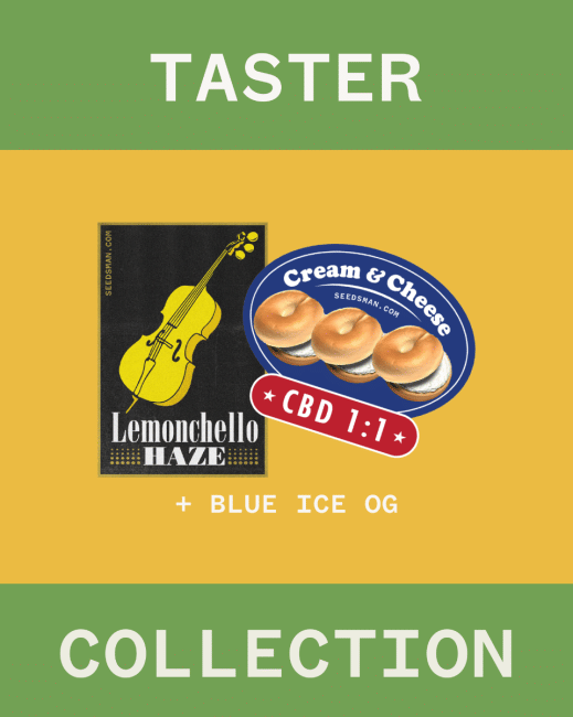 Taster Collection Feminisiert Saatgut-SMAN-COL-TAS-FEM