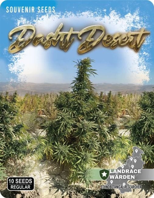 Dasht Desert Regular Seeds-LRW-DD-REG
