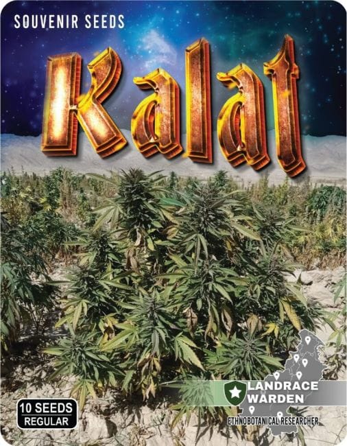 Kalat Regular Seeds-LRW-KAL-REG