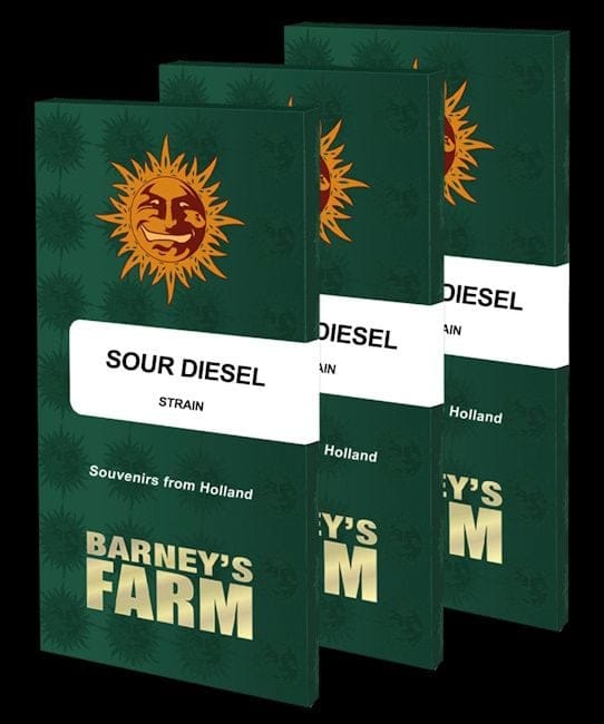 Sour Diesel Feminized Seeds-BFS-SD-FEM