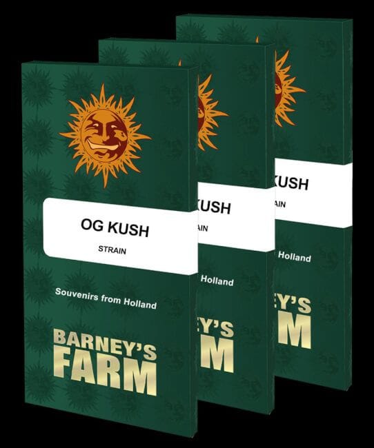 OG Kush Feminised Seeds-BFS-OG-FEM