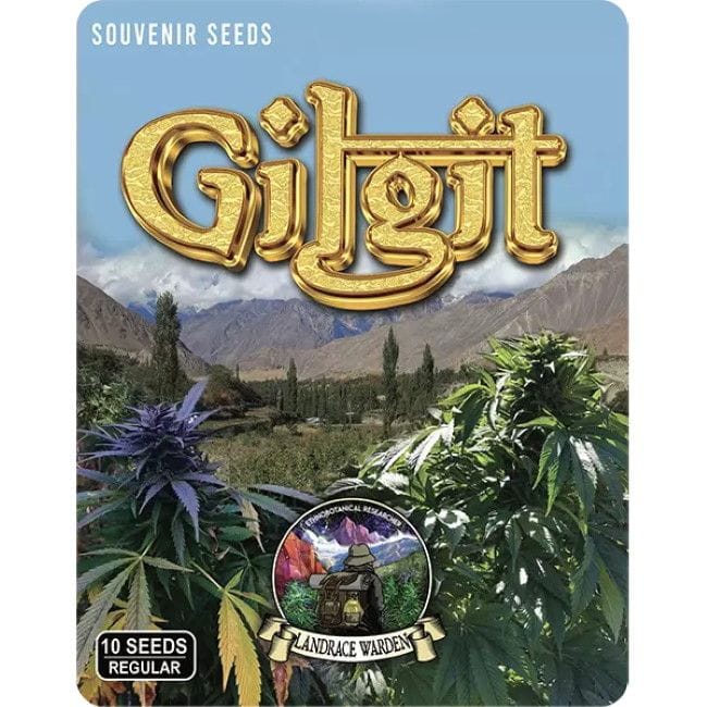 Gilgit Green Regular Seeds-LRW-GILGR-REG