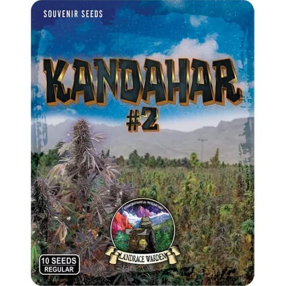 Kandahar Arghandab #2 Regular Seeds-LRW-KAND2-REG