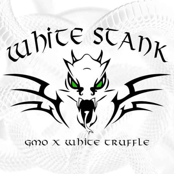 White Stank Feminised Seeds-LV8-WHST-FEM