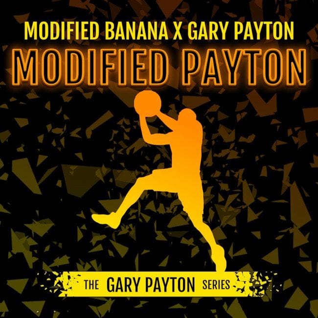 Modified Payton Feminised Seeds-LV8-MODP-FEM