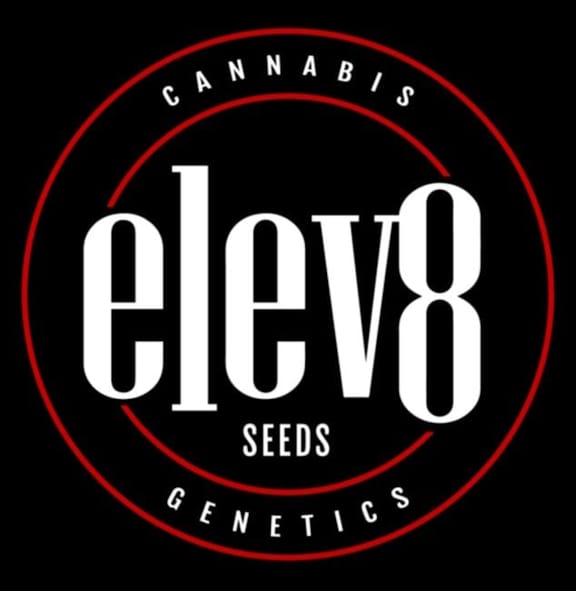 Nerds Rope S1 Feminized Seeds-LV8-NRS1-FEM