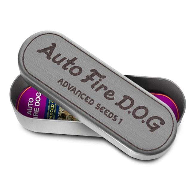 Fire DOG Auto Feminised Seeds-ADV-FD-AUTO-FEM