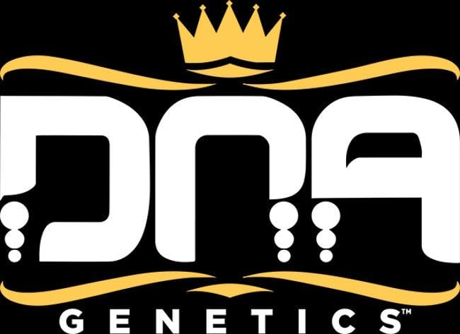 The Stinking Rose Feminized Seeds-DNA-TSTR-FEM