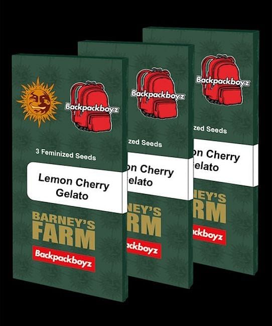 CBXE×CBGハーブ4g レモンチェリージェラート LA FETE】Lemon Cherry Gelato 合法ハーブ CBXE+CBG