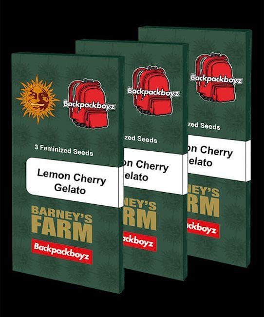 Lemon Cherry Gelato Feminised Seeds | Buy from Seedsman