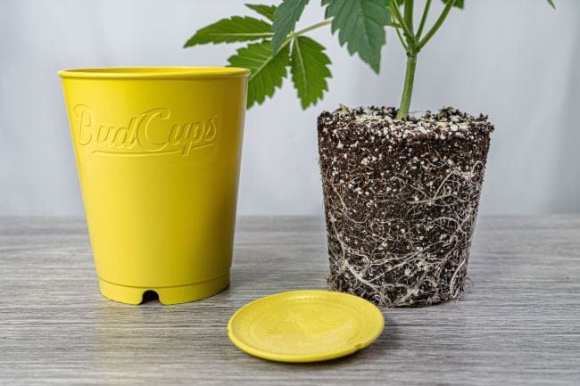 BudCups Transplant Containers - 4 Pack-BUTR-CUP-4
