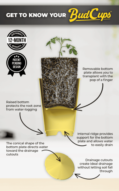 BudCups Transplant Containers - 4 Pack-BUTR-CUP-4