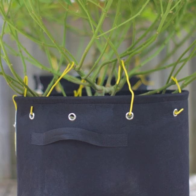 BudPots LST Fabric Pots - 4 Pack-BUTR-POT-4