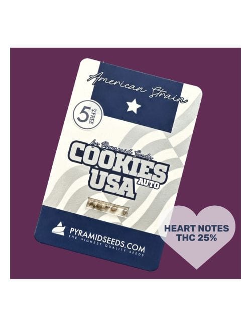 Cookies USA Auto Feminized Seeds-PYR-COOKUSA-AUTO-FEM