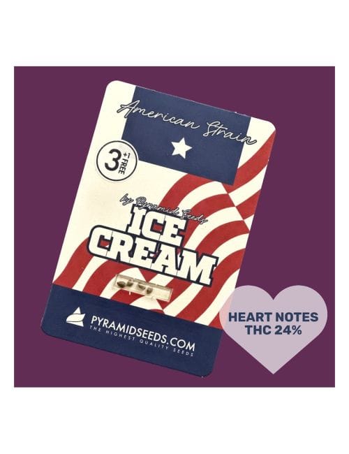 Ice Cream Feminised Seeds-PYR-ICEC-FEM