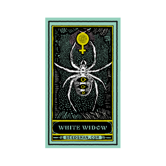 Women's Organic Hemp/Cotton T-shirt - White Widow-SMAN-GOODS-HEMPT-WW-W-NAT