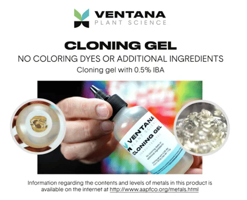 Ventana Plant Science Cloning Gel-VPS-CLGEL
