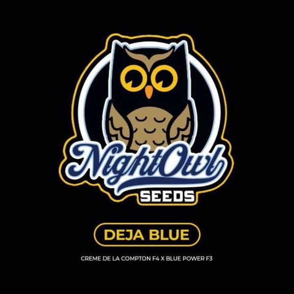 Deja Blue Auto Feminized Seeds-NOWL-DEBL-AUTO-FEM