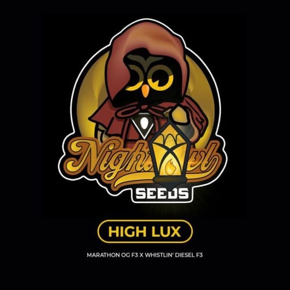 HighLux Auto Feminized Seeds-NOWL-HILU-AUTO-FEM