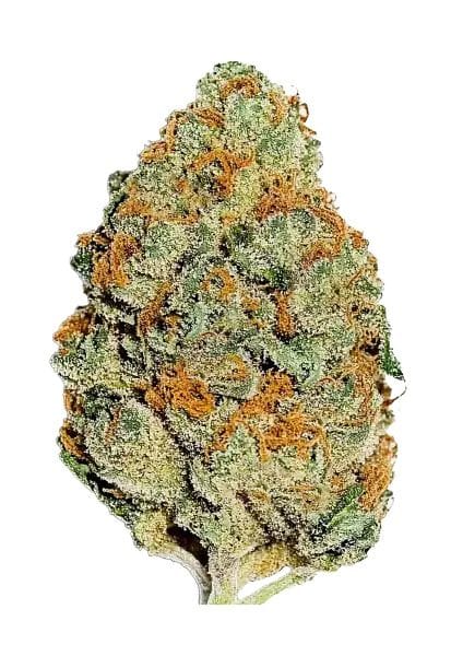 Lemon Mandarin Feminised Seeds-FB-LEMA-FEM