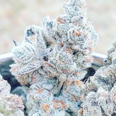 Jelly Breath S1 Feminised Seeds-IHG-JEBRS1-FEM