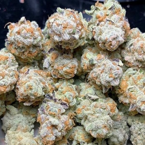 Slurricane #7 S1 Feminised Seeds-IHG-SL7S1-FEM