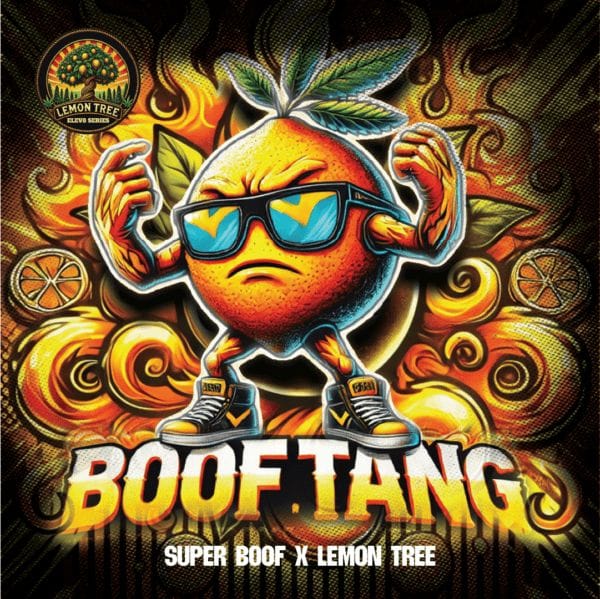 Boof Tang Feminized Seeds-LV8-SUBO-FEM