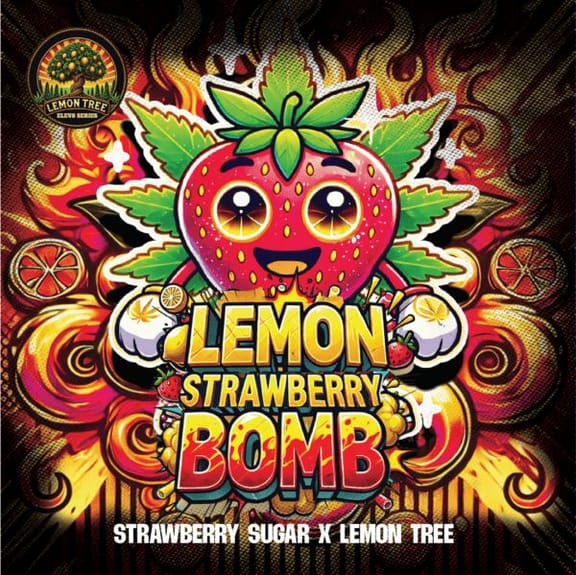 Lemon Strawberry Bomb Feminisiert Saatgut-LV8-STSU-FEM