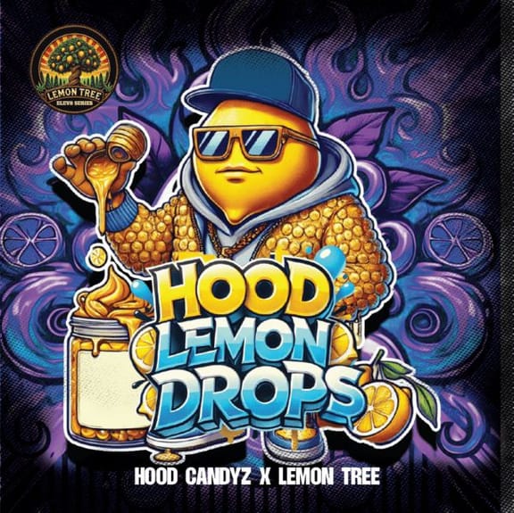 Hood Lemon Drops Feminised Seeds-LV8-HOCA-FEM