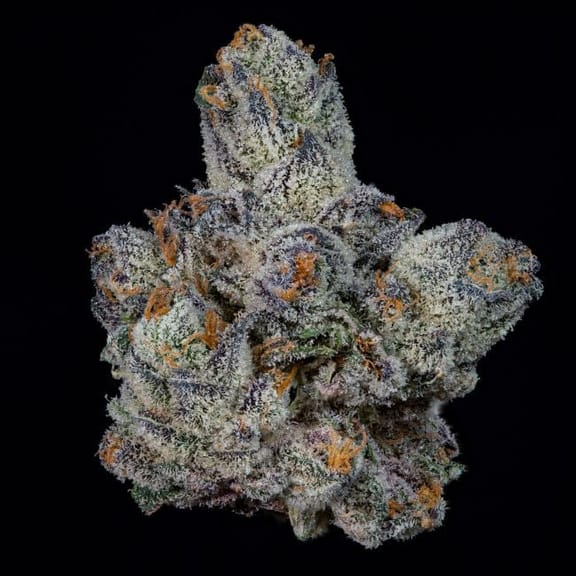 Lemon Fever Feminised Seeds-WIZT-LEFE-FEM