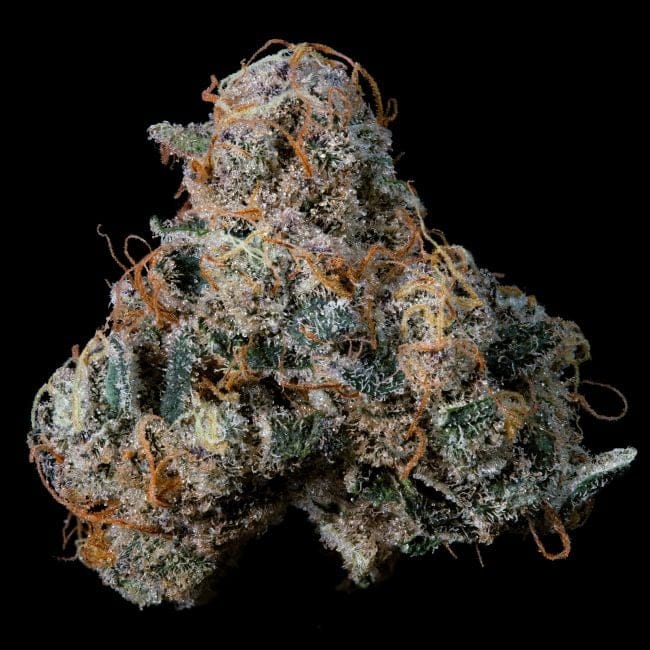 Ice Pop Feminised Seeds-NIWH-ICPO-FEM