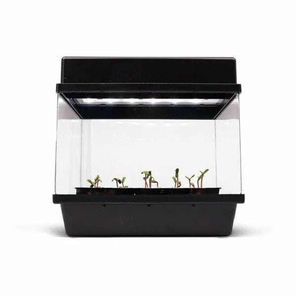 RQS Starter Kit Autofloraison + 3 Semences-RQS-STARTKIT-AUTO