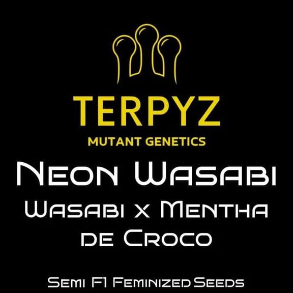 Neon Wasabi Feminised Seeds-TERP-NEWA-FEM