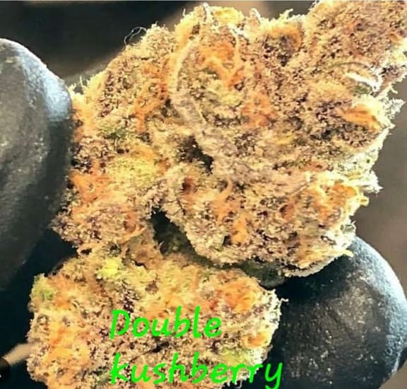 Double Kushberry Feminized Seeds-IHG-DOKU-FEM