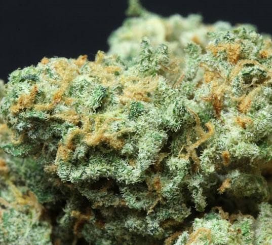 Green Crack феминизирани семена-SMAN-GRCRK-FEM