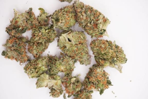 Sour Diesel Clones-SMAN-CL-BCC-SODI