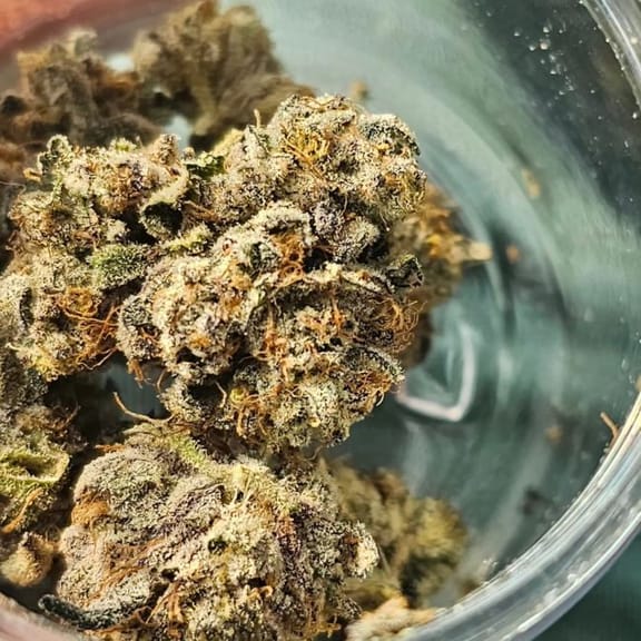 The Soap Clones-SMAN-CL-BCC-SOAP