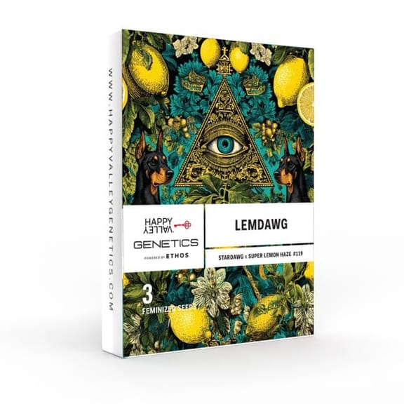 Lemdawg Feminised Seeds-HAVG-LEMD-FEM