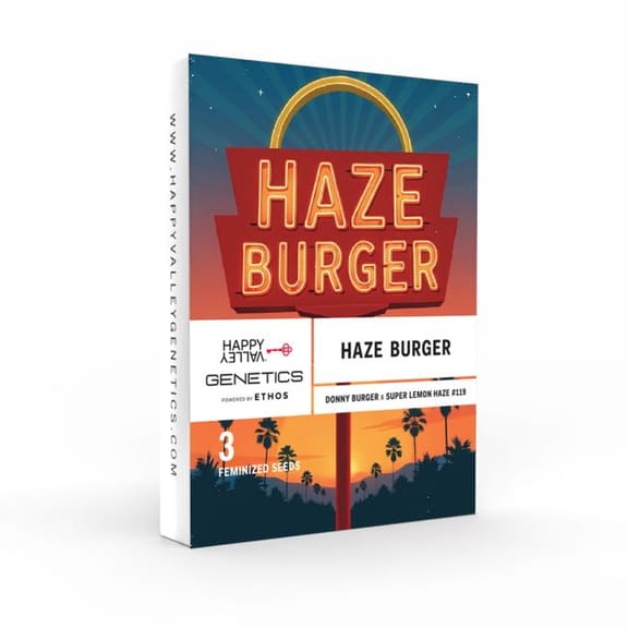 Haze Burger Feminisiert Saatgut-HAVG-HABU-FEM