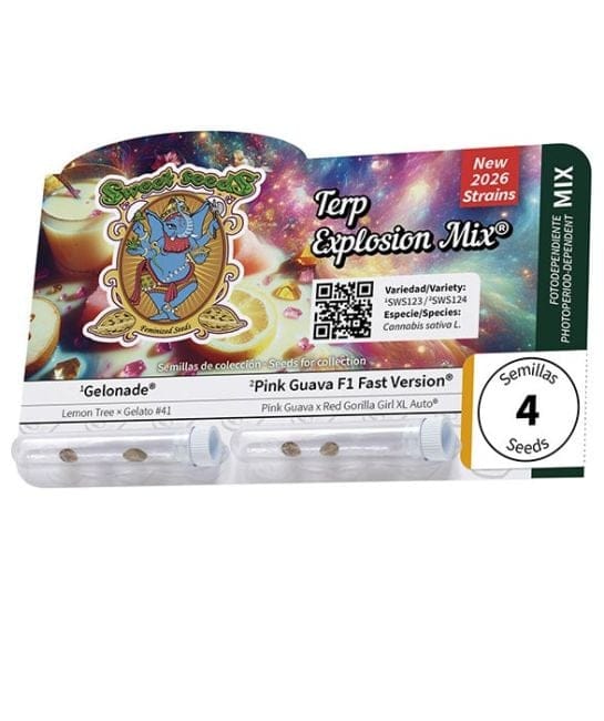 Terp Explosion Mix Feminised Seeds-SS-TEEX-MIX-FEM
