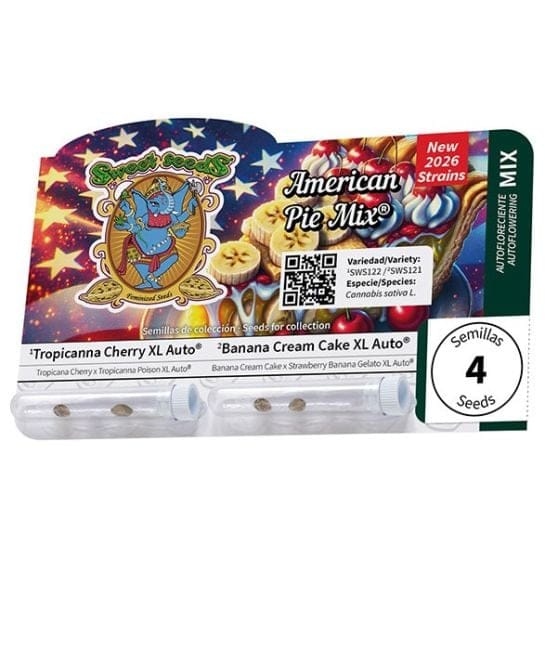 American Pie Mix Auto Féminisée Semences-SS-AMPI-MIX-AUTO-FEM