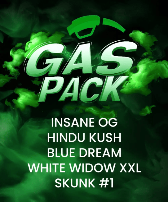 Gas Pack Bundle Feminised Seeds-BFS-GASPACK-FEM
