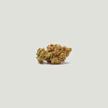 Pomegranate Lime Auto Feminized Seeds-PCG-POLI-AUTO-FEM